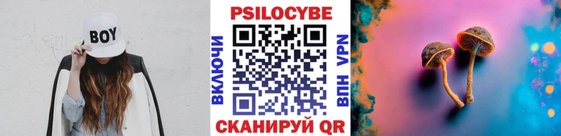 Галлюциногенные грибы GOLDEN TEACHER  где продают наркотики  Александров 