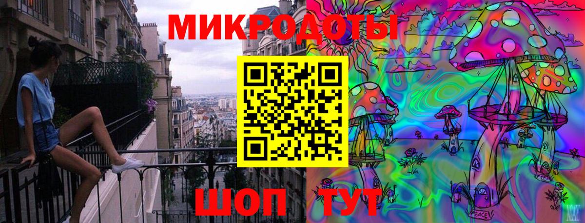 Александров  Галлюциногенные грибы Psilocybe  Вход с VPN 
