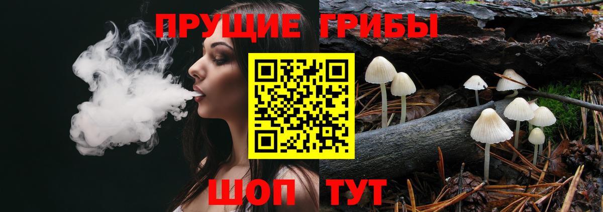 Псилоцибиновые грибы Magic Shrooms Александров